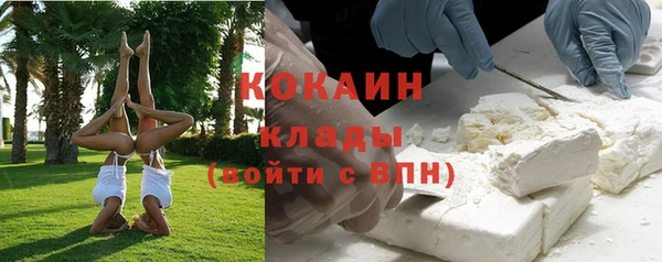 дживик Белокуриха