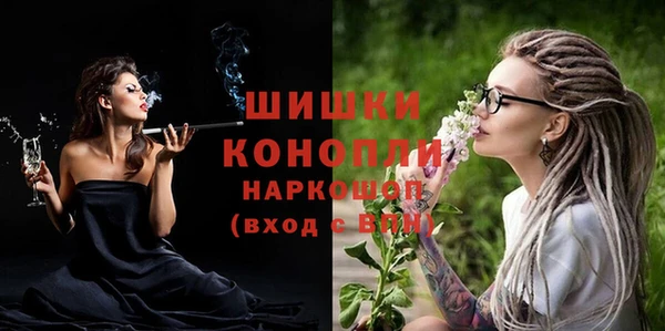дживик Белокуриха