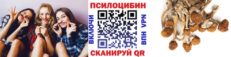 сколько стоит  Гулькевичи  Галлюциногенные грибы Psilocybe 