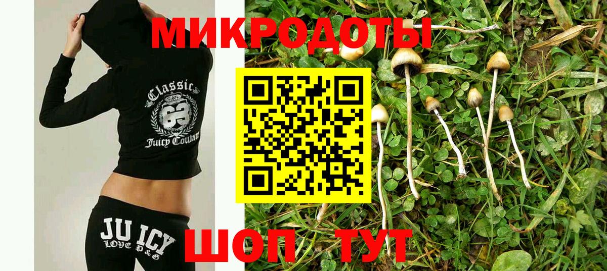 Галлюциногенные грибы MAGIC MUSHROOMS Гулькевичи